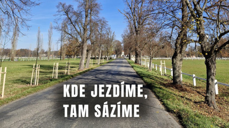 BusLine odstartoval ekologický projekt  - 